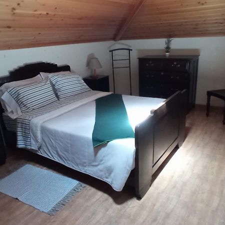 Apartamentos Em Casa Da Avo Ines Porto Formoso Luaran gambar